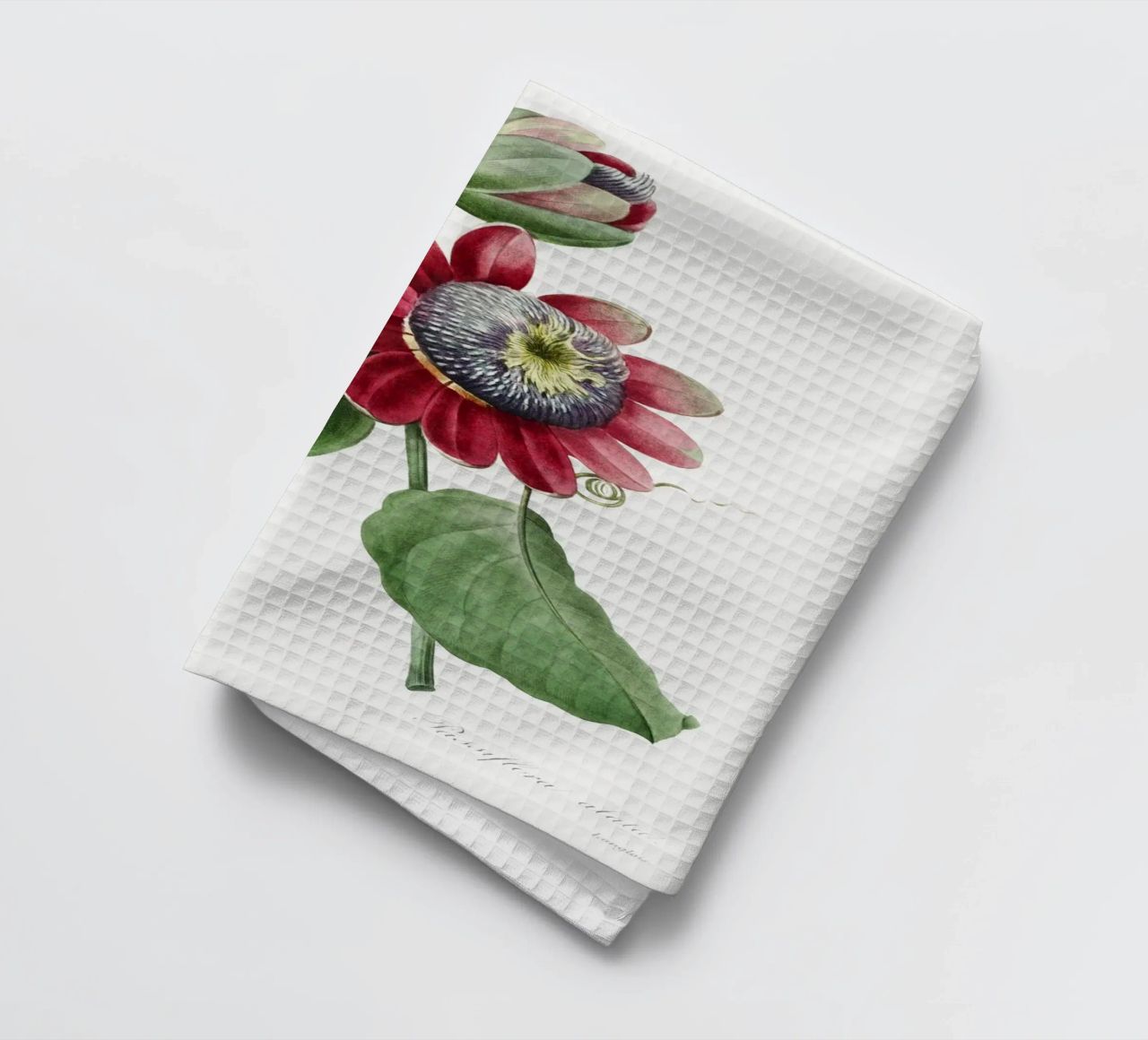 Passiflore Ailee (1827) di Pierre-Joseph Redouté canovaccio da cucina da Vintage Botanical Prints