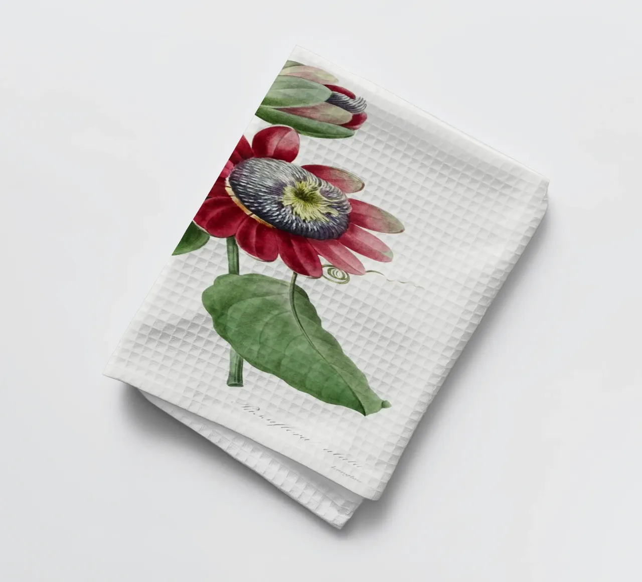 Passiflore Ailee (1827) di Pierre-Joseph Redouté canovaccio da cucina da Vintage Botanical Prints