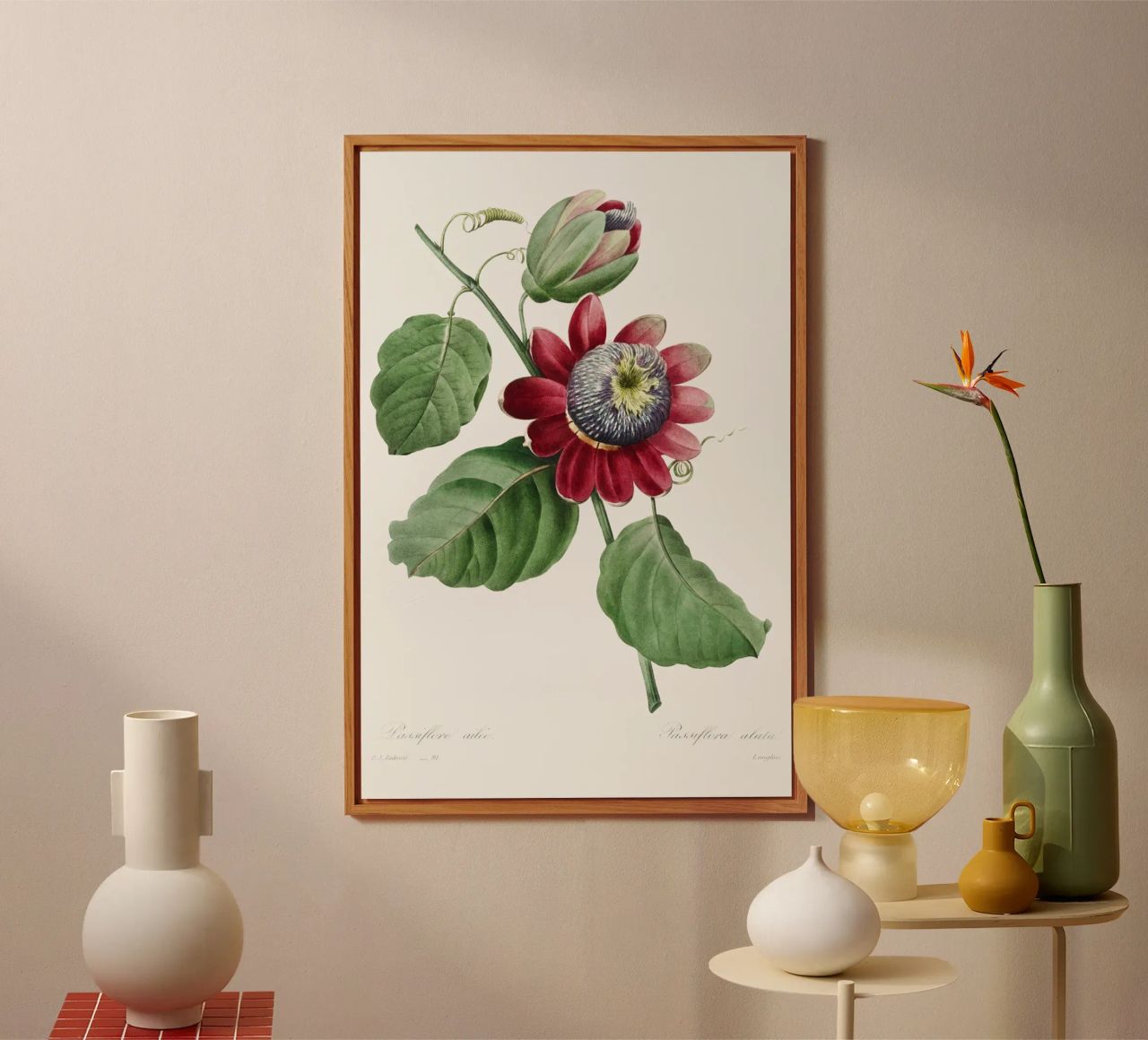 Passiflore Ailee (1827) di Pierre-Joseph Redouté alluminio dibond da Vintage Botanical Prints