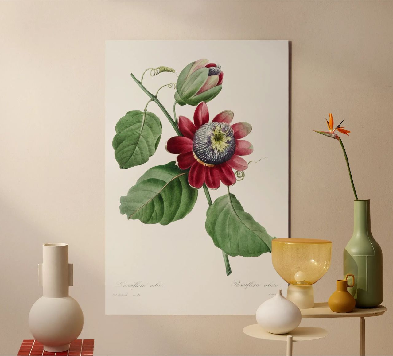 Passiflore Ailee (1827) di Pierre-Joseph Redouté alluminio dibond da Vintage Botanical Prints