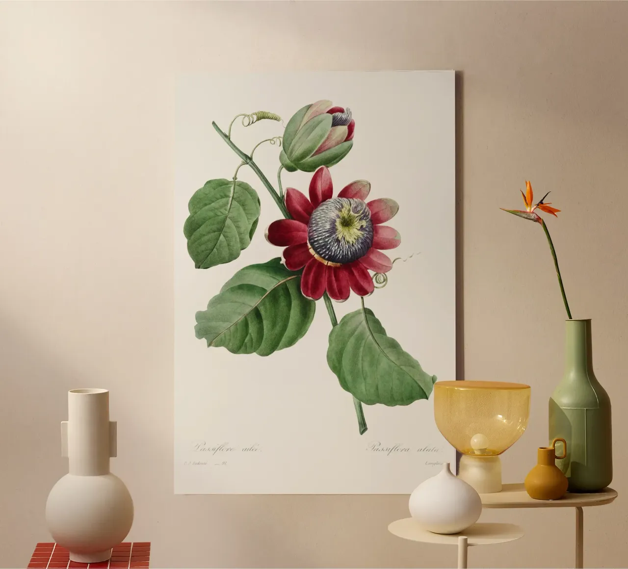 Passiflore Ailee (1827) di Pierre-Joseph Redouté tela da Vintage Botanical Prints