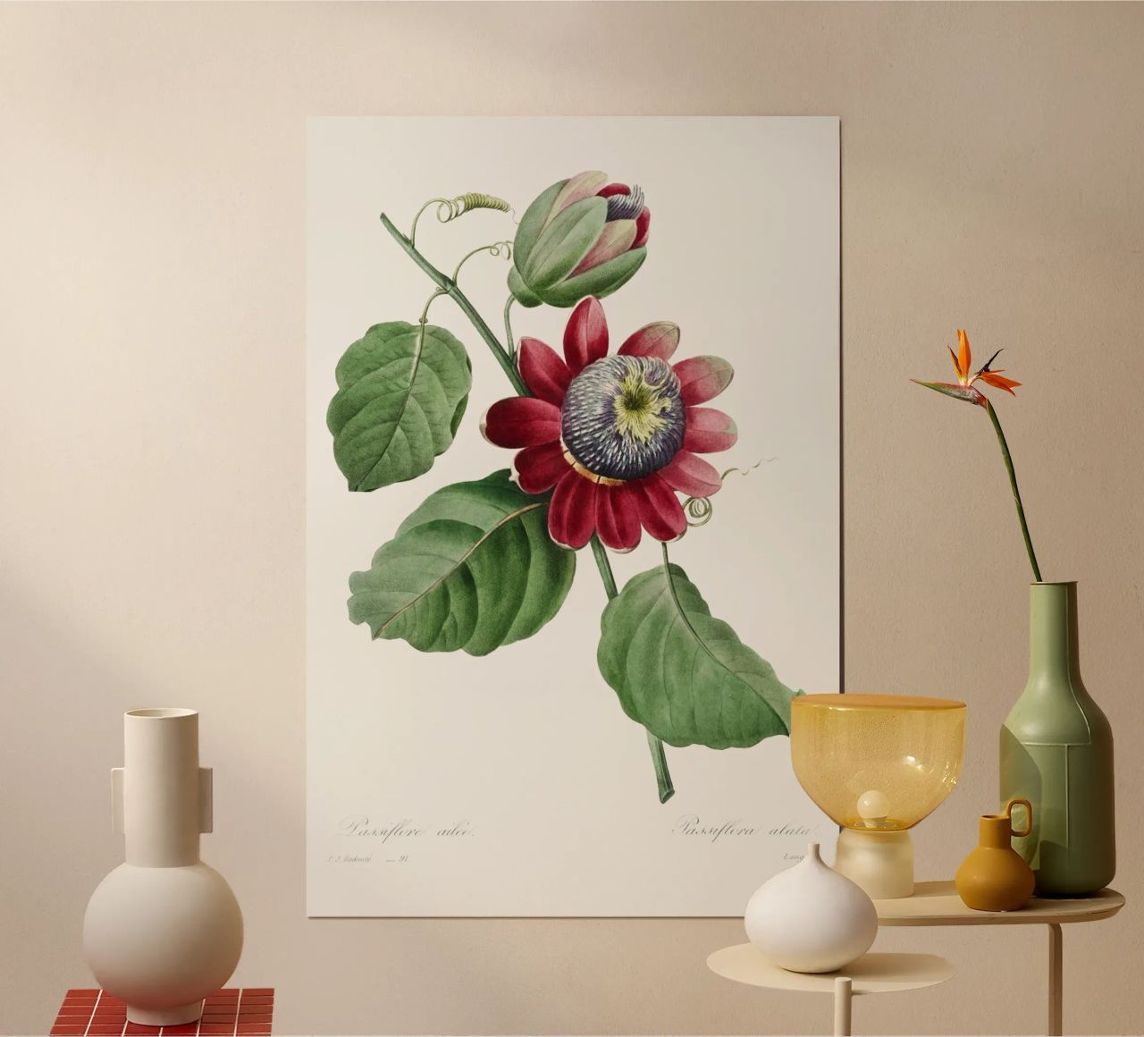 Passiflore Ailee (1827) de Pierre-Joseph Redouté poster de Vintage Botanical Prints