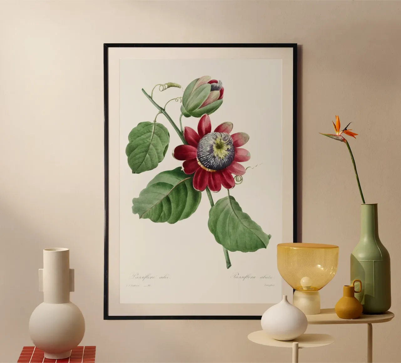 Passiflore Ailee (1827) di Pierre-Joseph Redouté carta hahnemühle da Vintage Botanical Prints
