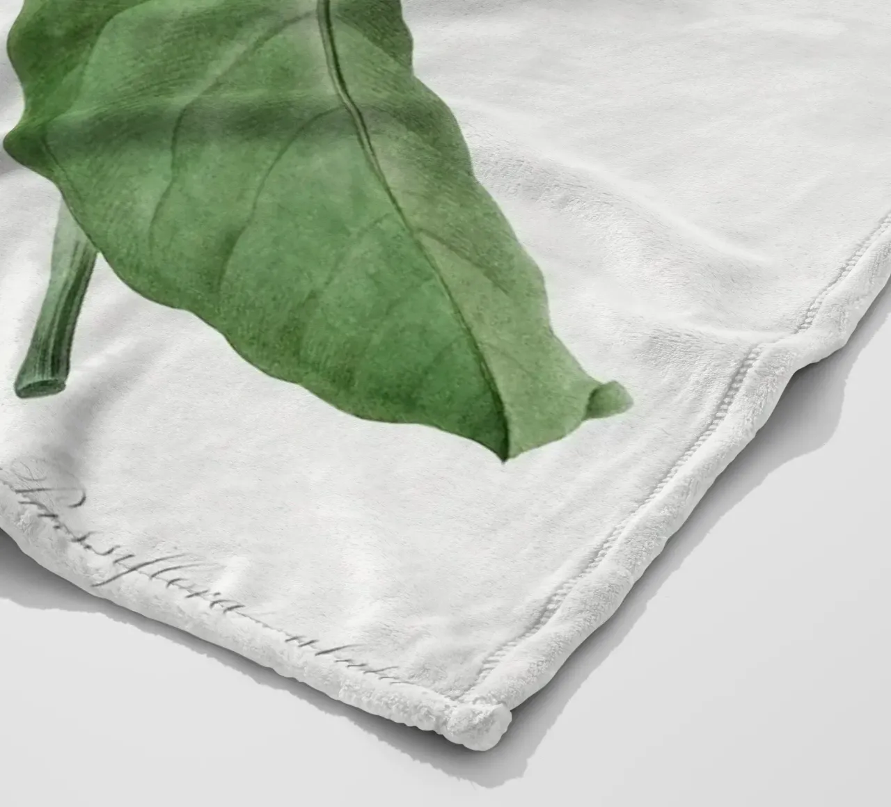 Passiflore Ailee (1827) di Pierre-Joseph Redouté coperta in pile da Vintage Botanical Prints