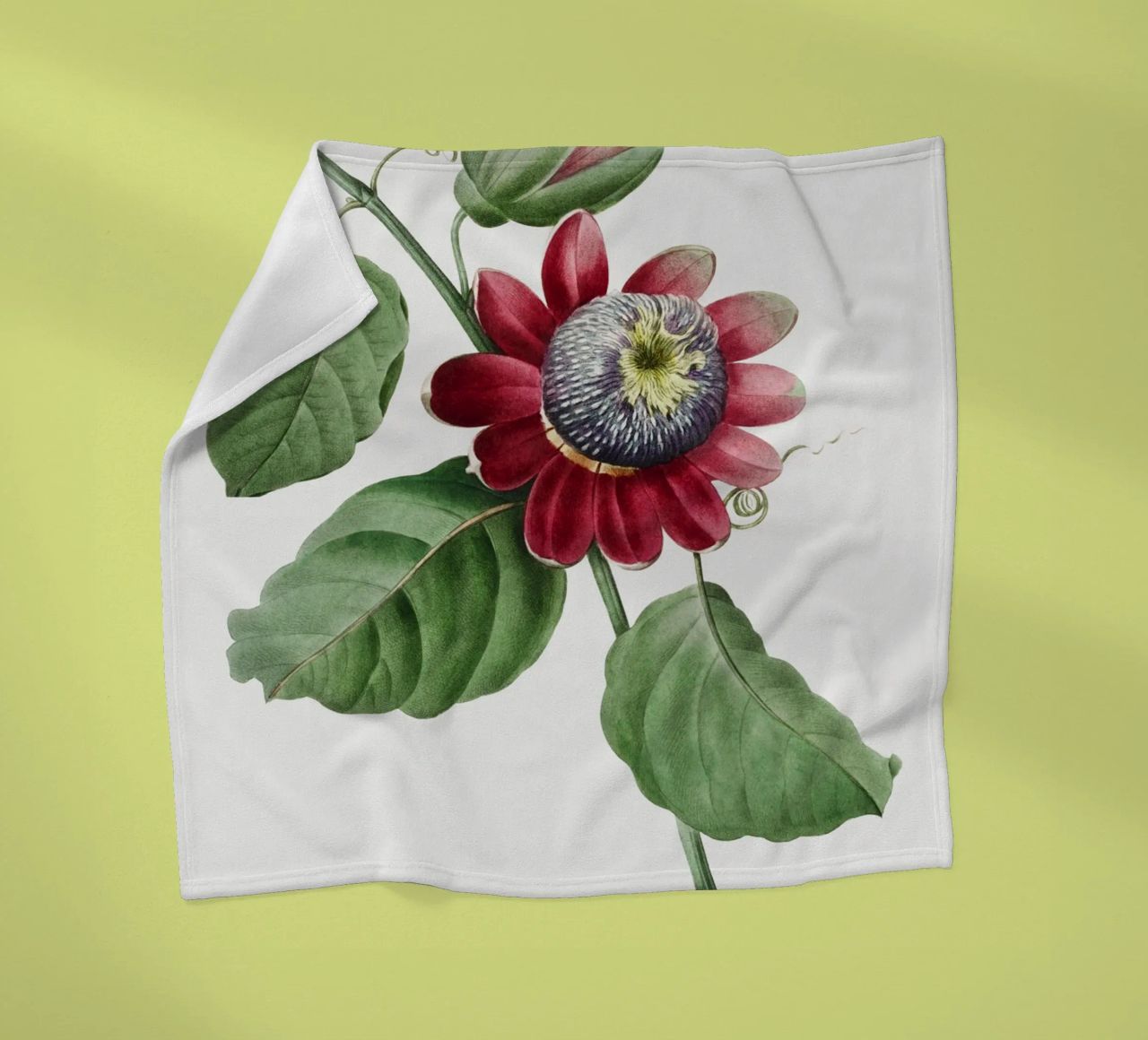 Passiflore Ailee (1827) di Pierre-Joseph Redouté coperta in pile da Vintage Botanical Prints
