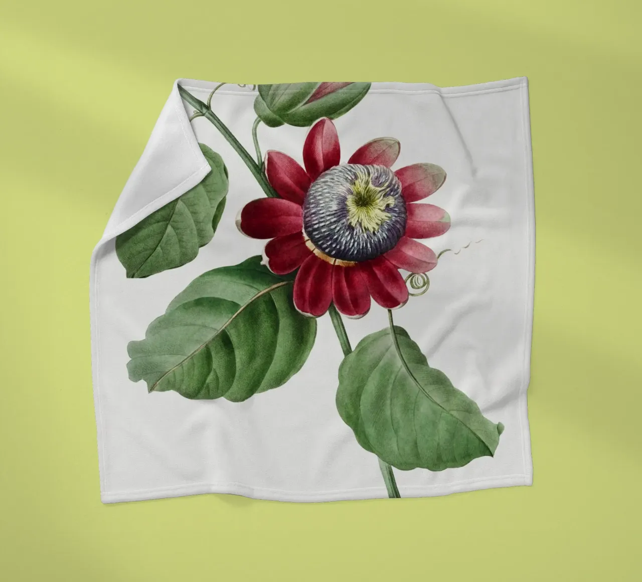 Passiflore Ailee (1827) di Pierre-Joseph Redouté coperta in pile da Vintage Botanical Prints