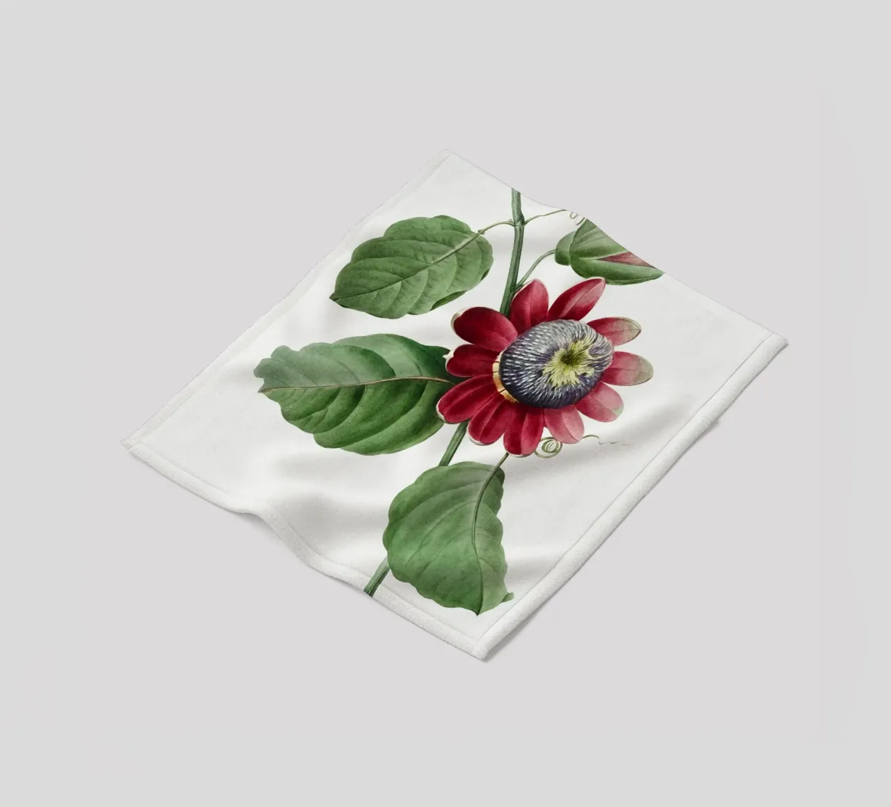 Passiflore Ailee (1827) di Pierre-Joseph Redouté coperta in pile da Vintage Botanical Prints