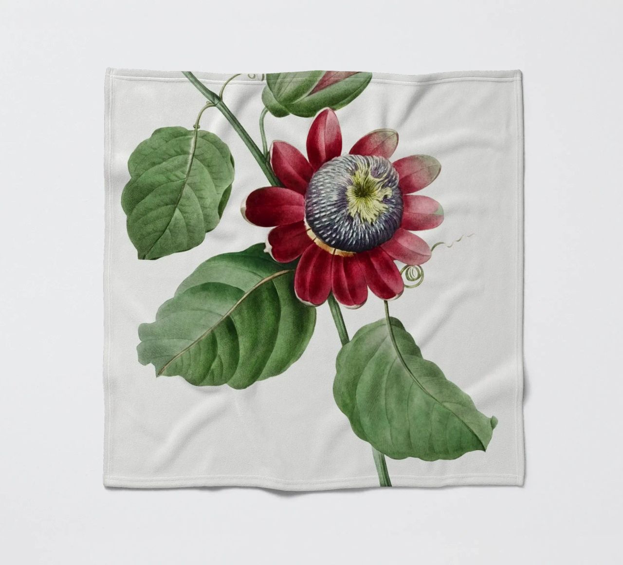 Passiflore Ailee (1827) di Pierre-Joseph Redouté coperta in pile da Vintage Botanical Prints