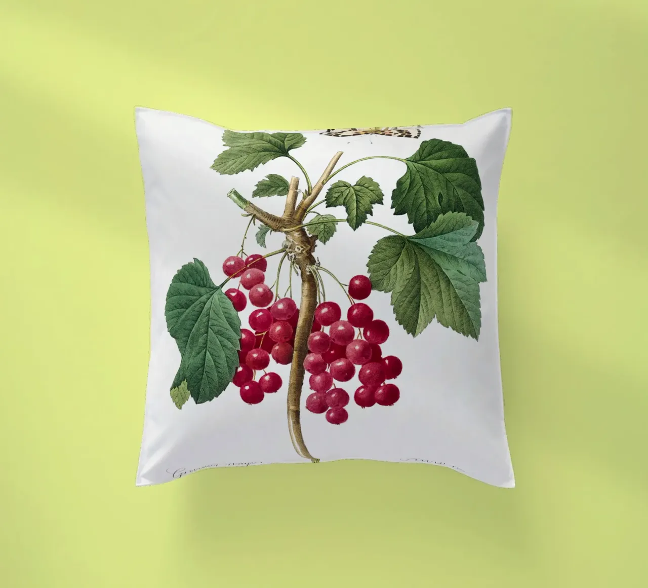 "Ribes rosso" (1827) di Pierre-Joseph Redouté cuscino da Vintage Botanical Prints