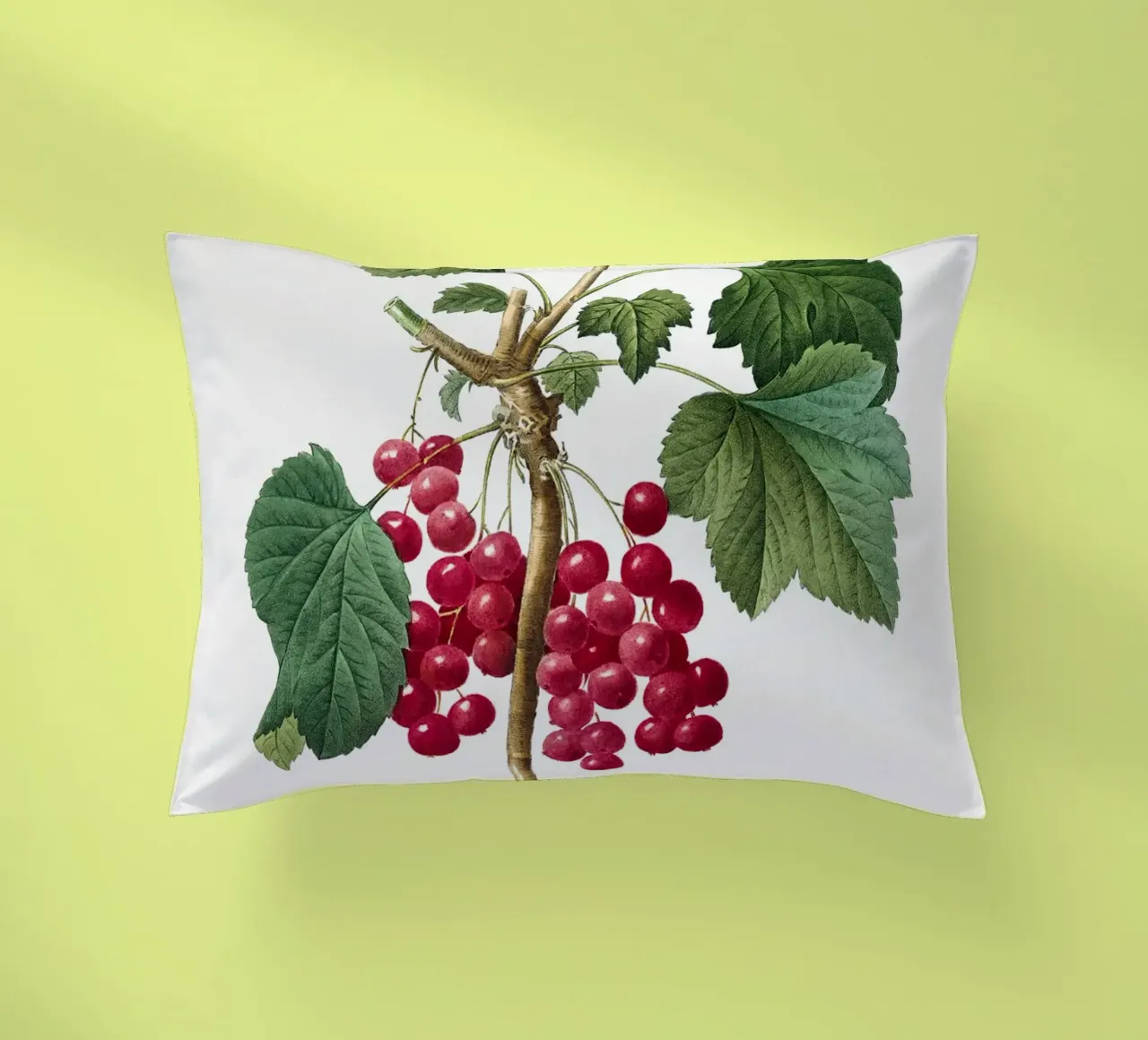 "Ribes rosso" (1827) di Pierre-Joseph Redouté cuscino da Vintage Botanical Prints