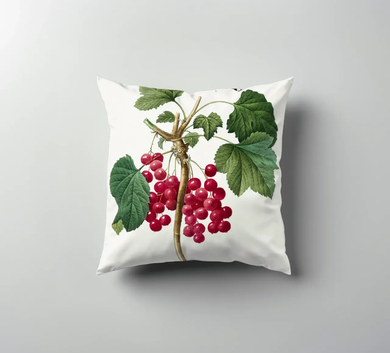 "Ribes rosso" (1827) di Pierre-Joseph Redouté cuscino da Vintage Botanical Prints