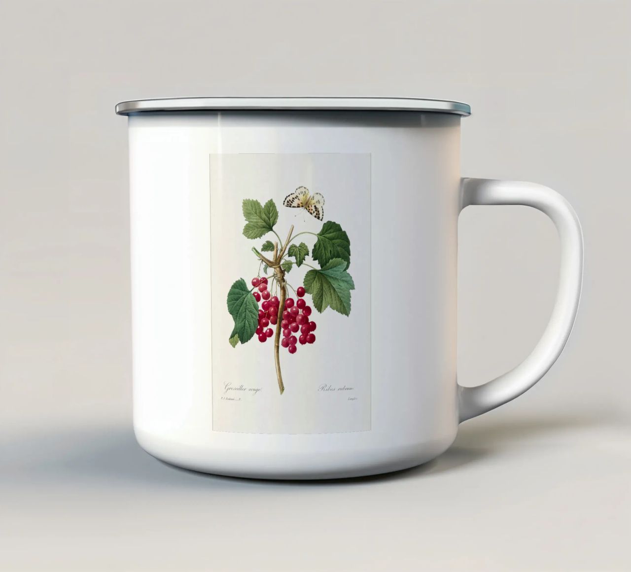 "Ribes rosso" (1827) di Pierre-Joseph Redouté tazza in smalto da Vintage Botanical Prints