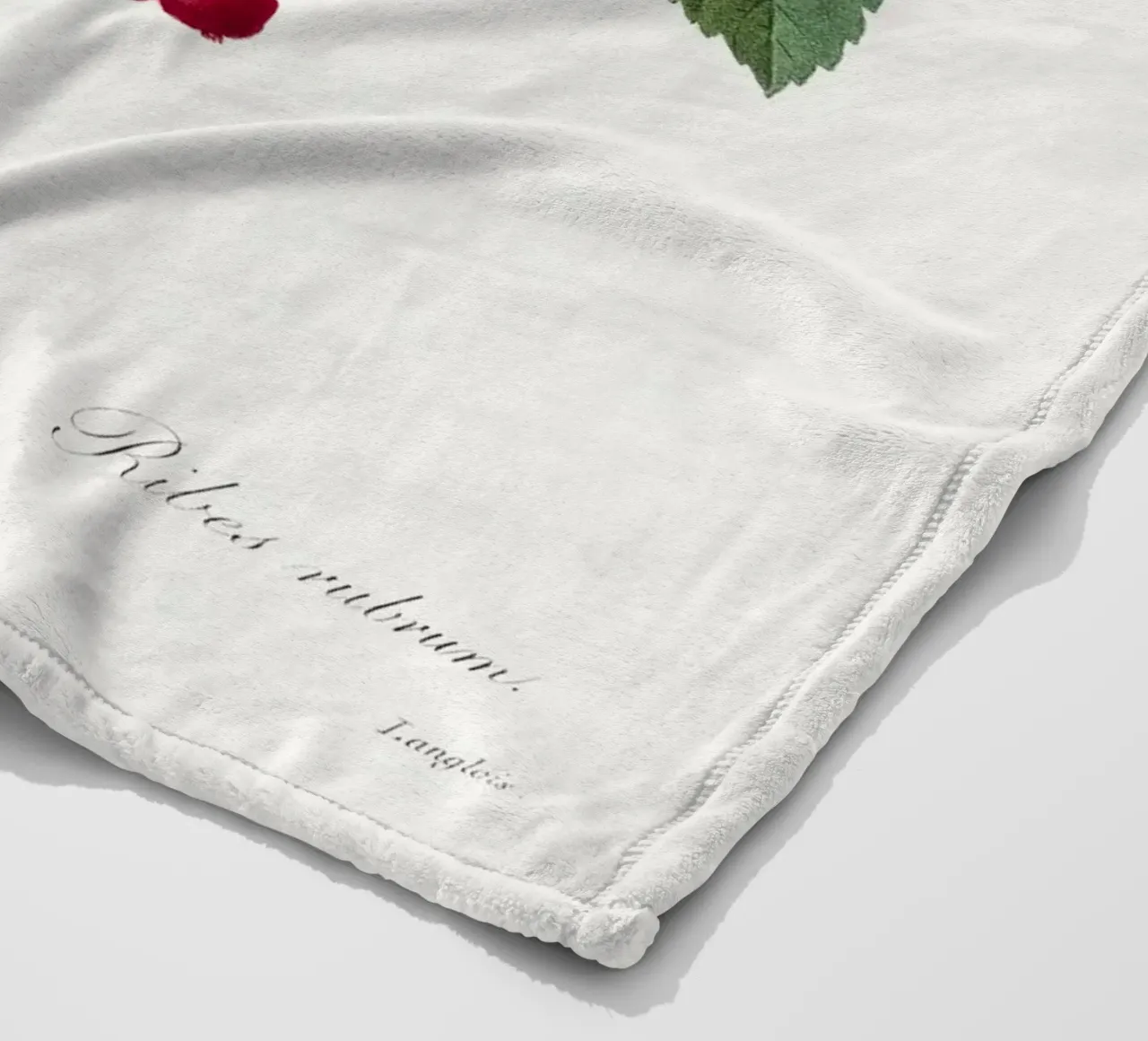 "Ribes rosso" (1827) di Pierre-Joseph Redouté coperta in pile da Vintage Botanical Prints
