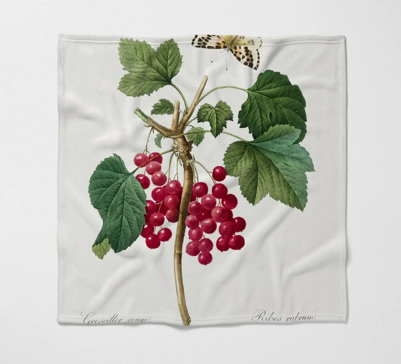 "Ribes rosso" (1827) di Pierre-Joseph Redouté coperta in pile da Vintage Botanical Prints