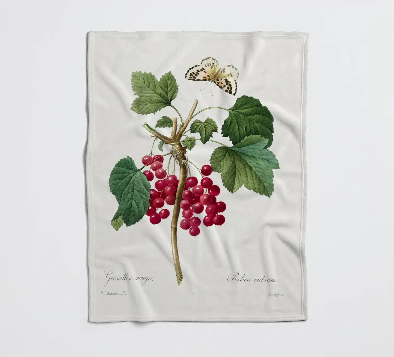 "Ribes rosso" (1827) di Pierre-Joseph Redouté coperta in pile da Vintage Botanical Prints