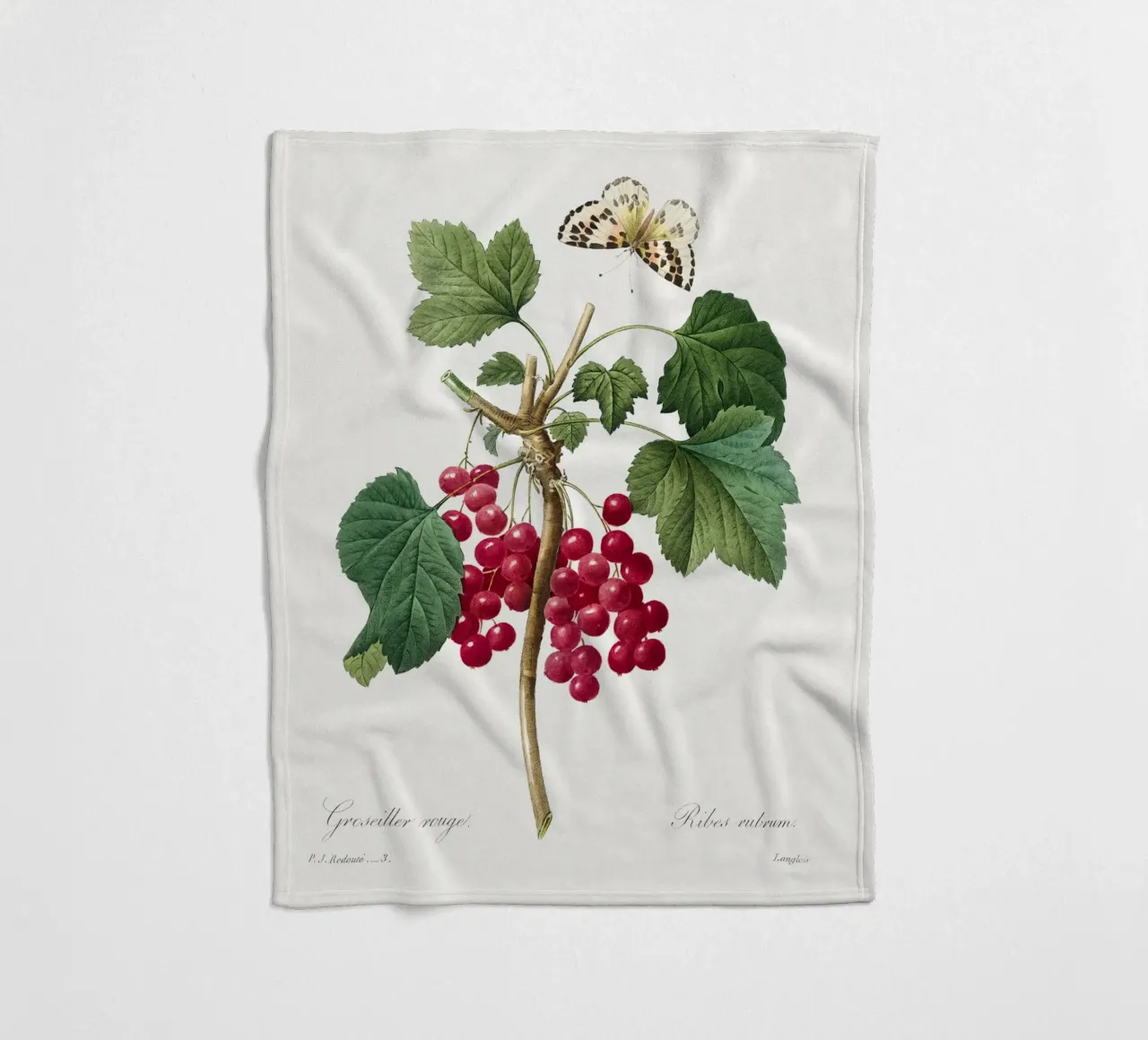 "Ribes rosso" (1827) di Pierre-Joseph Redouté coperta in pile da Vintage Botanical Prints