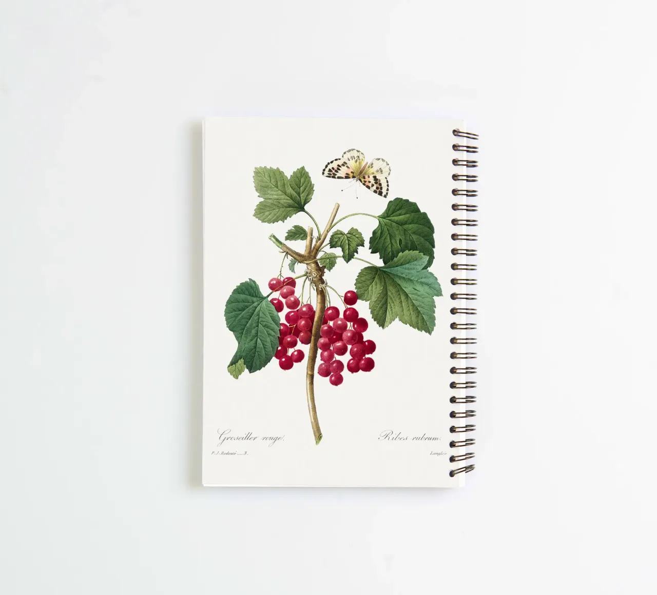 "Red Currant" (1827) by Pierre-Joseph Redouté spiral notebook by Vintage Botanical Prints