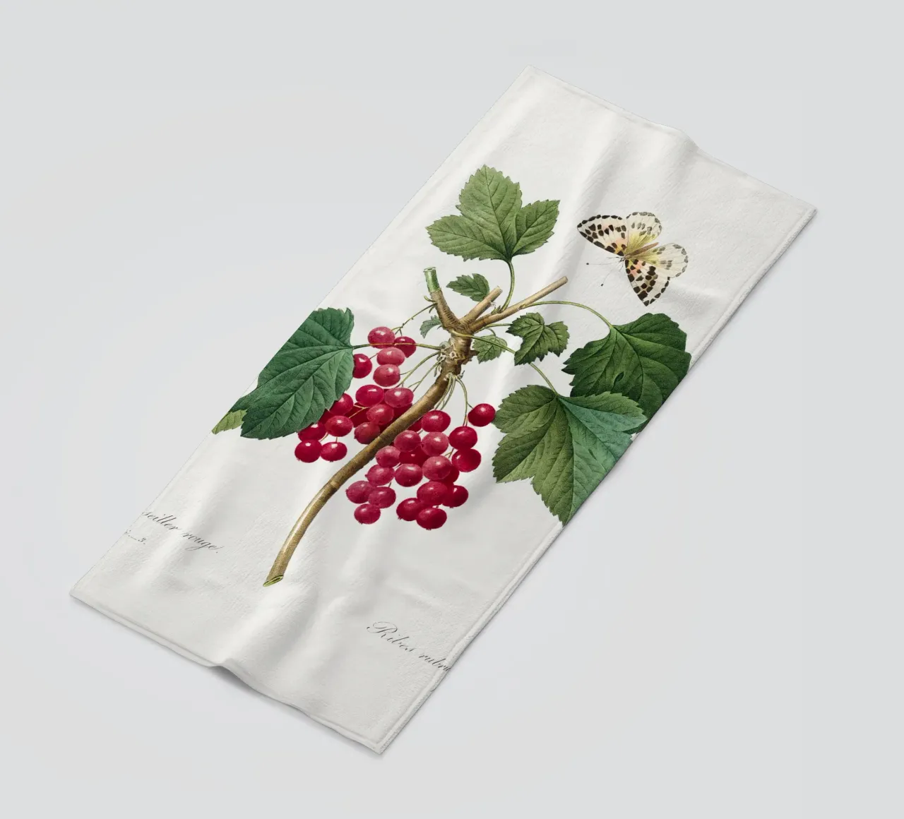"Ribes rosso" (1827) di Pierre-Joseph Redouté telo mare da Vintage Botanical Prints