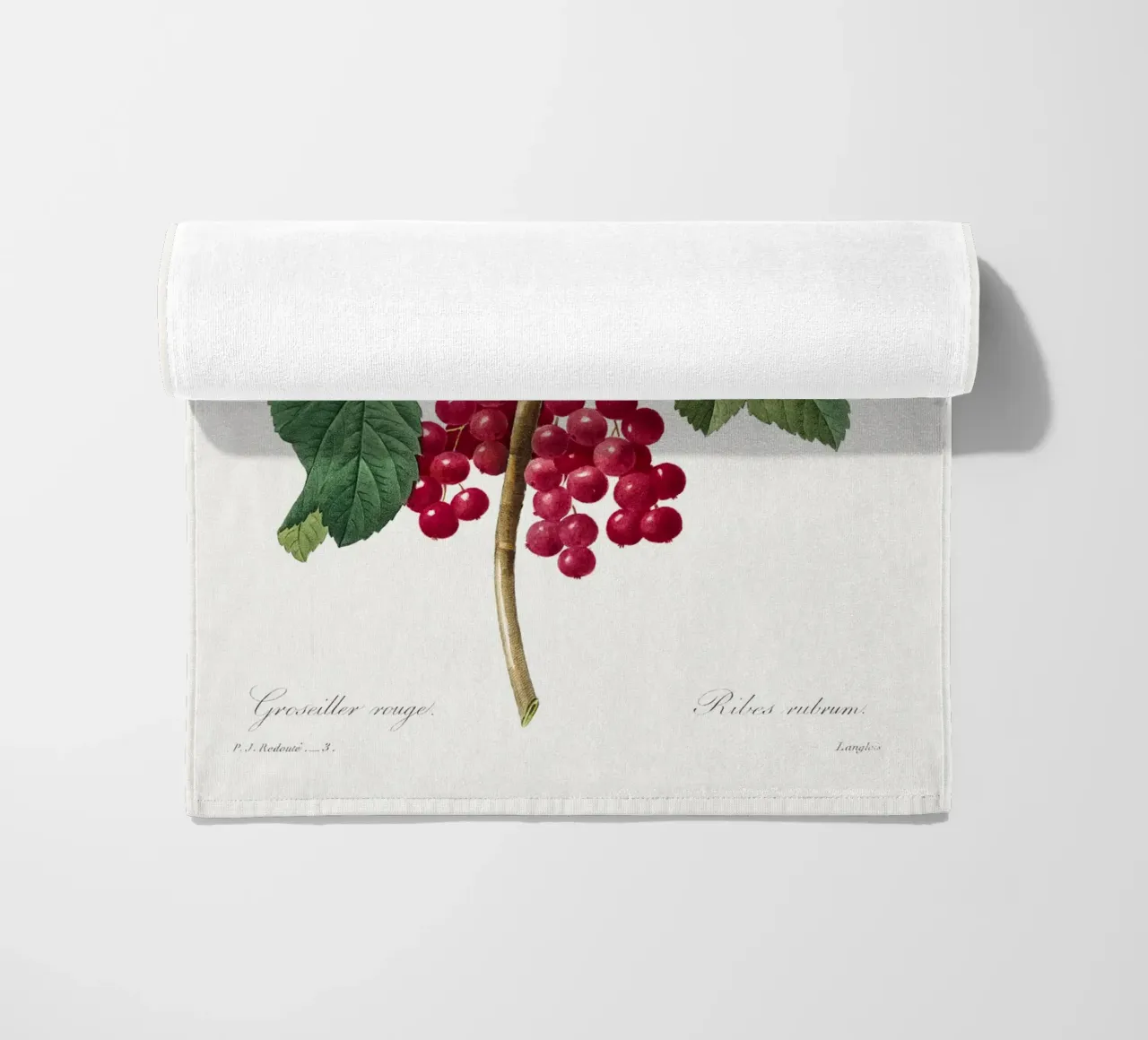 "Ribes rosso" (1827) di Pierre-Joseph Redouté telo mare da Vintage Botanical Prints