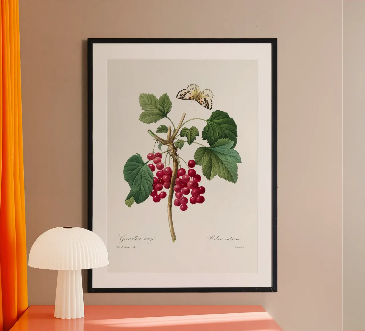"Ribes rosso" (1827) di Pierre-Joseph Redouté carta hahnemühle da Vintage Botanical Prints