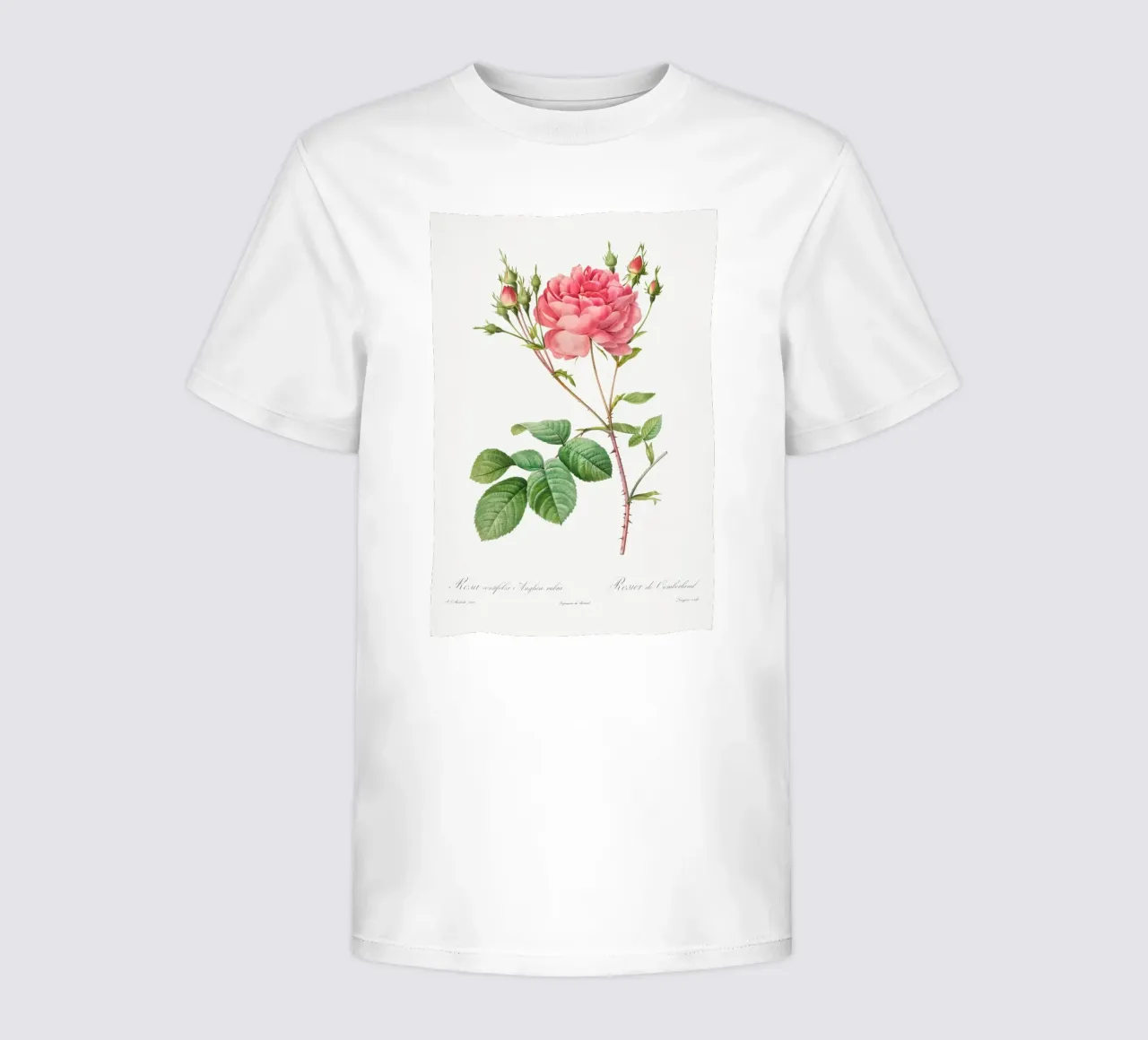 Rosa Centifolia Anglica Rubra (1817-1824) by Pierre-Joseph R kids t-shirt by Vintage Botanical Prints