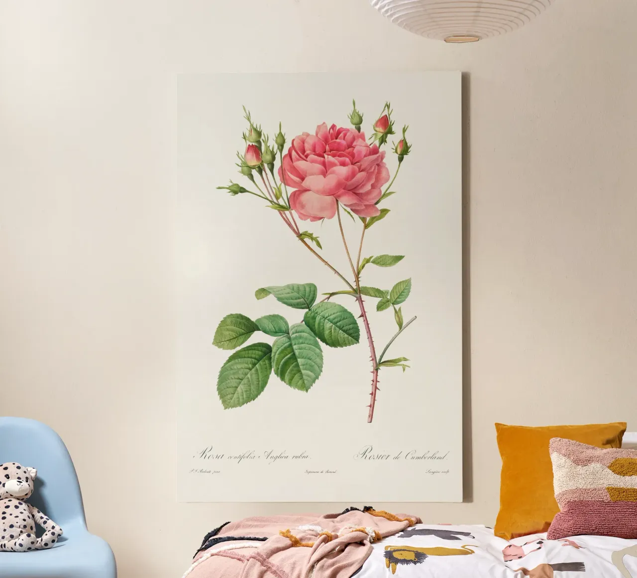 Rosa Centifolia Anglica Rubra (1817-1824) di Pierre-Joseph R tela con Cornice a cassetta da Vintage Botanical Prints