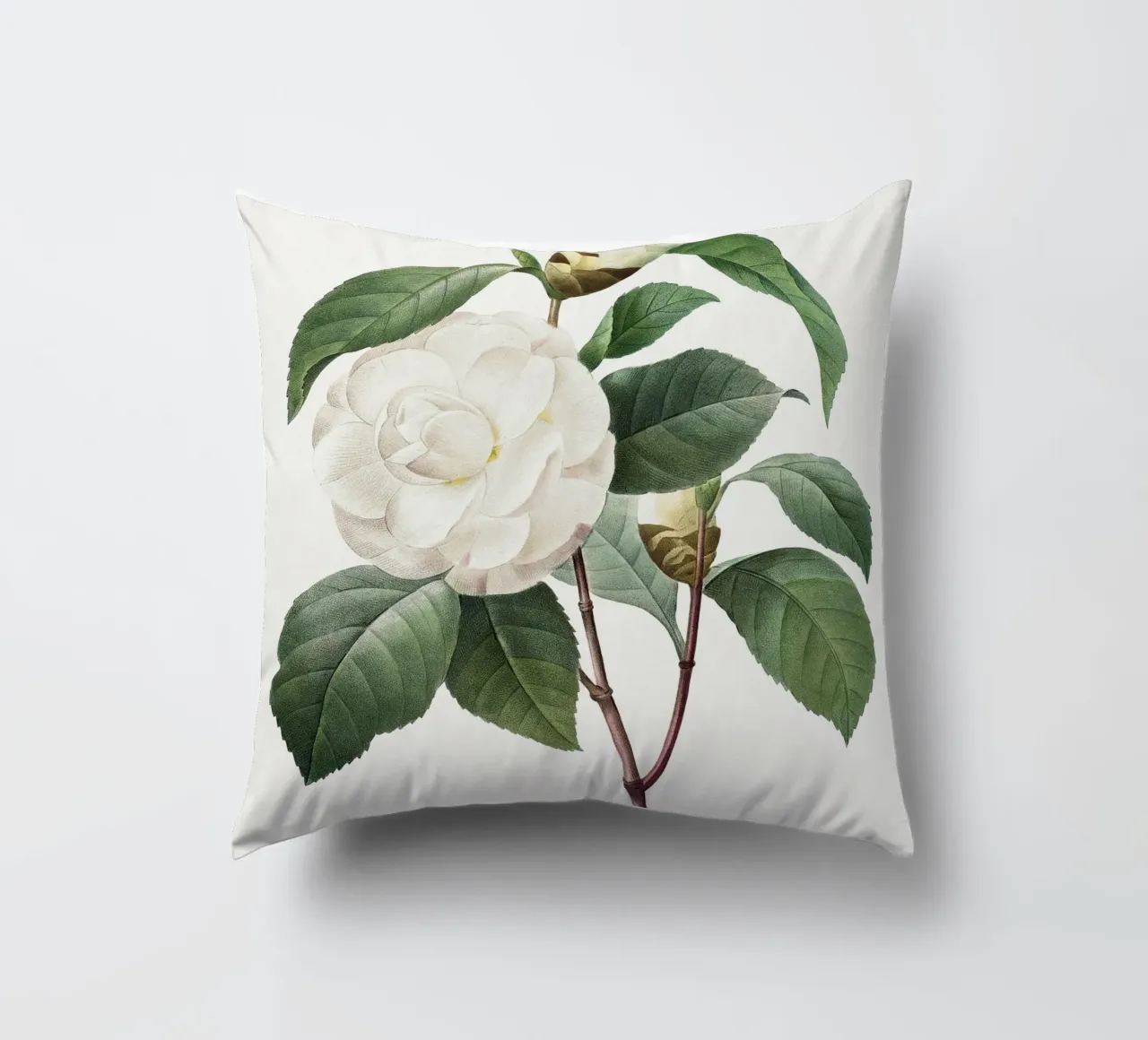 "Camelia bianca" (1827) di Pierre-Joseph Redouté cuscino da Vintage Botanical Prints