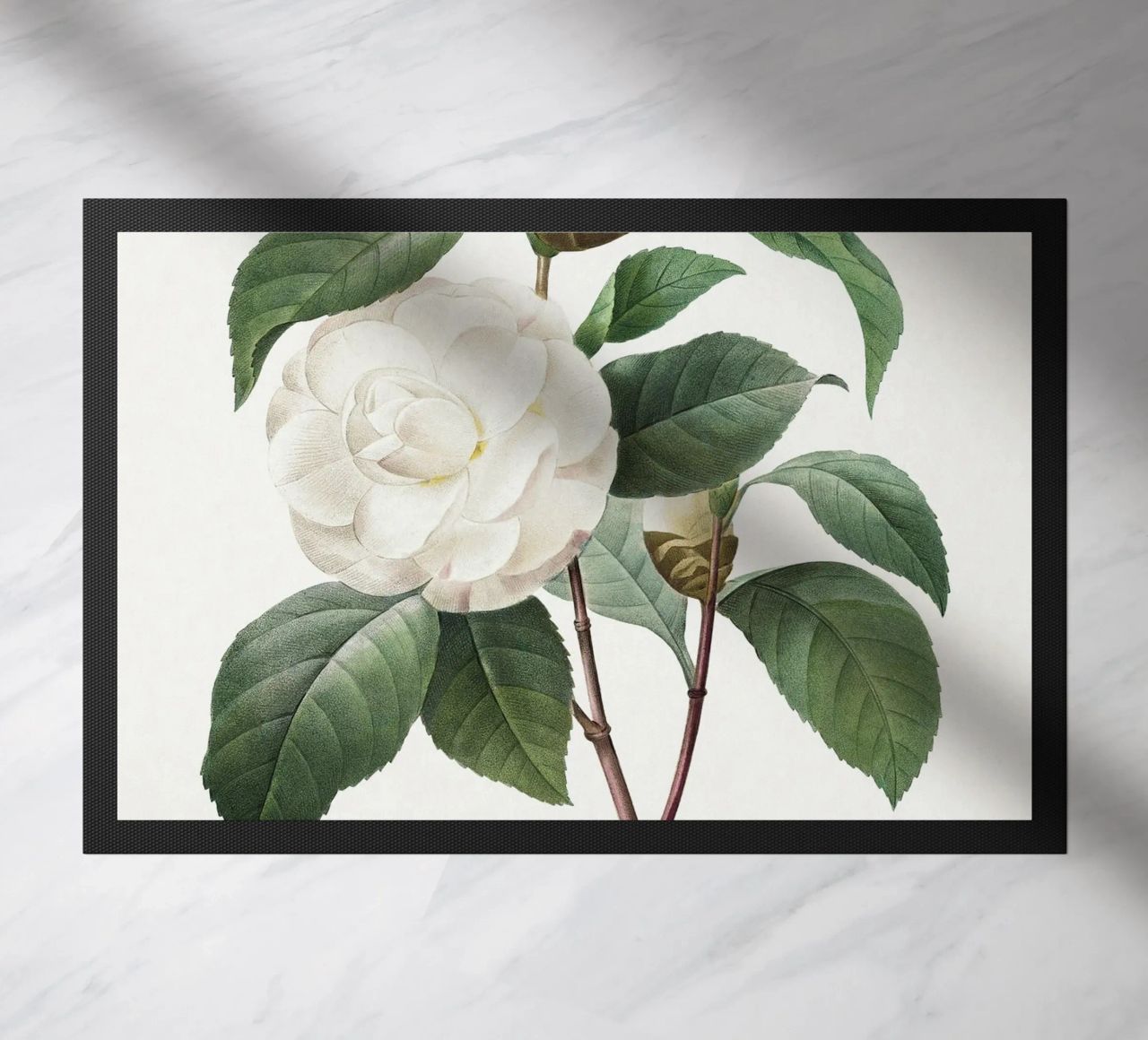 "Camelia bianca" (1827) di Pierre-Joseph Redouté zerbino da Vintage Botanical Prints