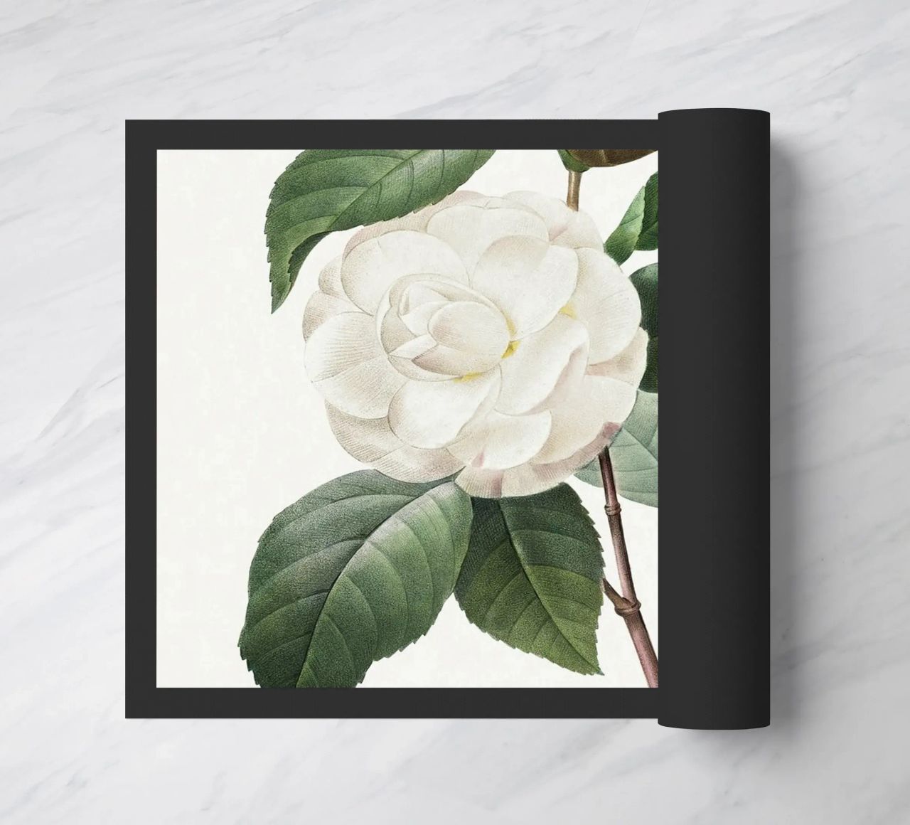 "Camelia bianca" (1827) di Pierre-Joseph Redouté zerbino da Vintage Botanical Prints
