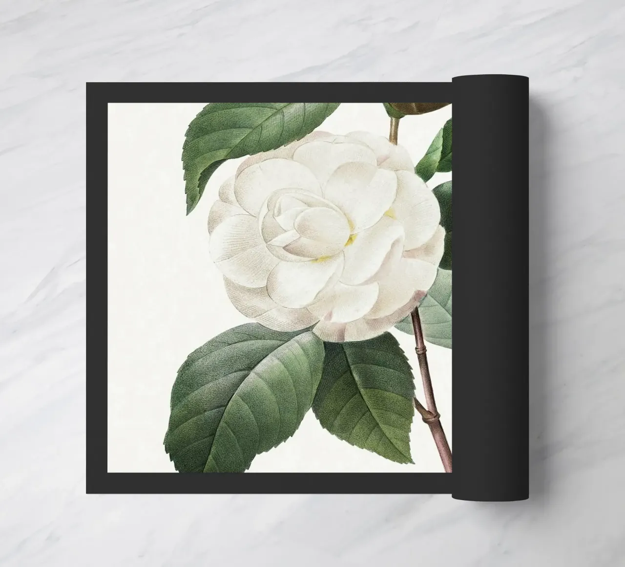"Camelia bianca" (1827) di Pierre-Joseph Redouté zerbino da Vintage Botanical Prints