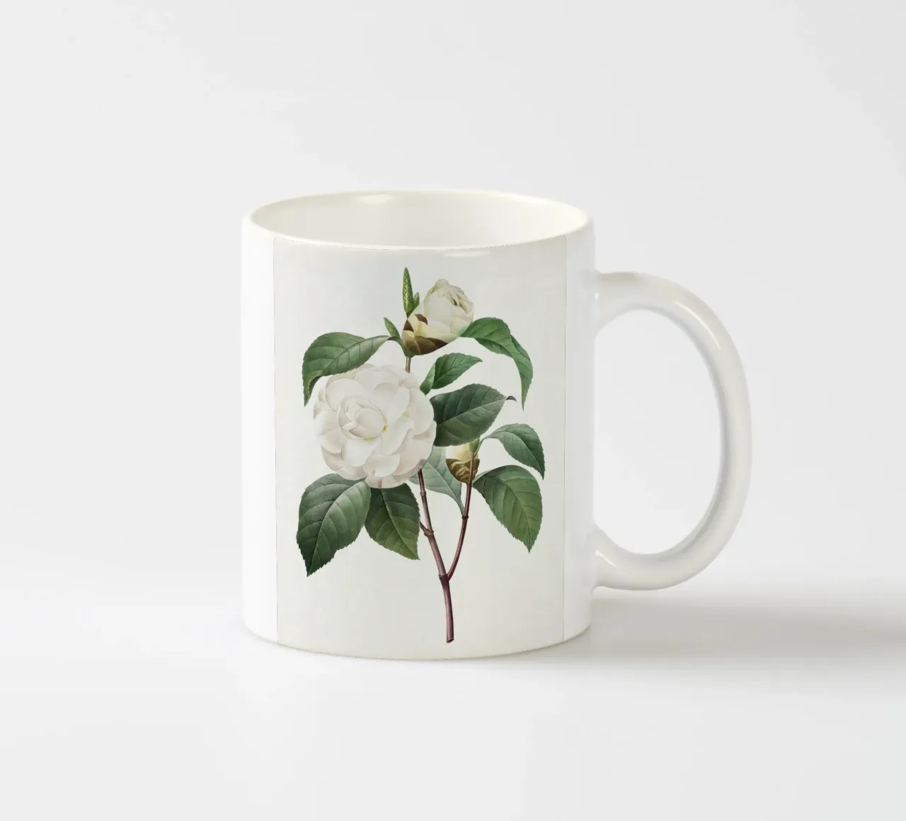 "Camelia blanca" (1827) de Pierre-Joseph Redouté taza de cerámica de Vintage Botanical Prints