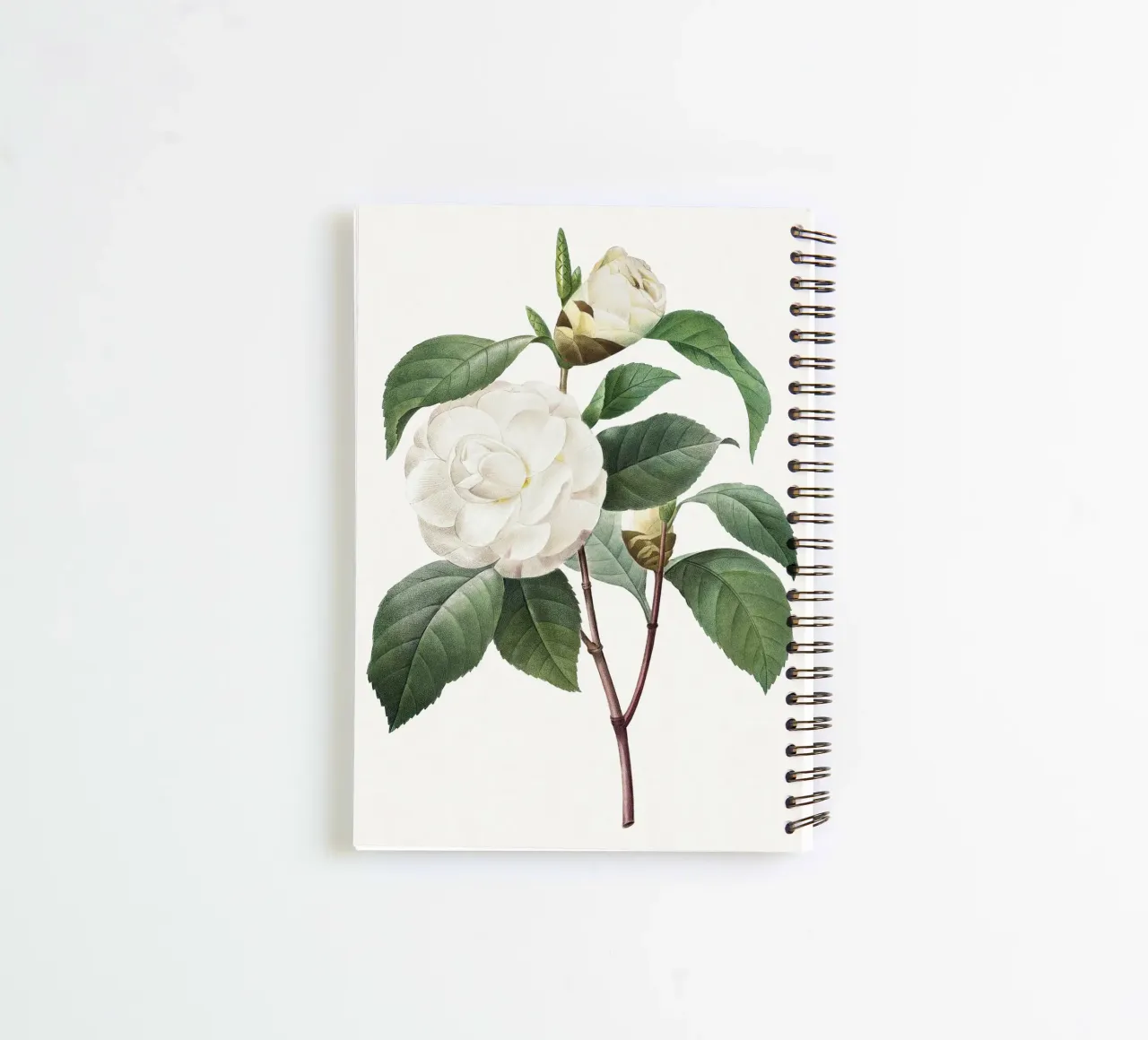 "White Camellia" (1827) by Pierre-Joseph Redouté spiral notebook by Vintage Botanical Prints