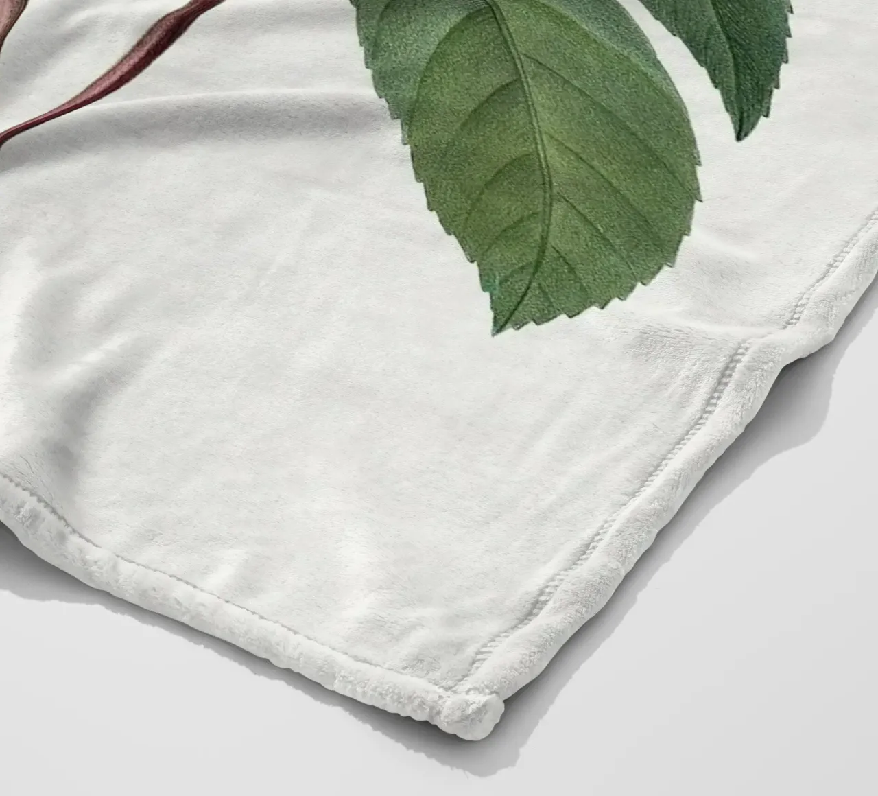 "Camelia bianca" (1827) di Pierre-Joseph Redouté coperta in pile da Vintage Botanical Prints