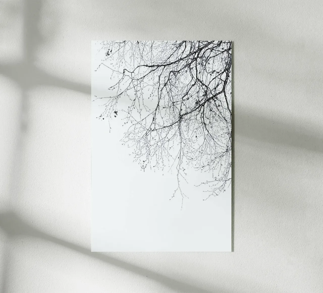 Rami neri plexiglass da Monika Strigel