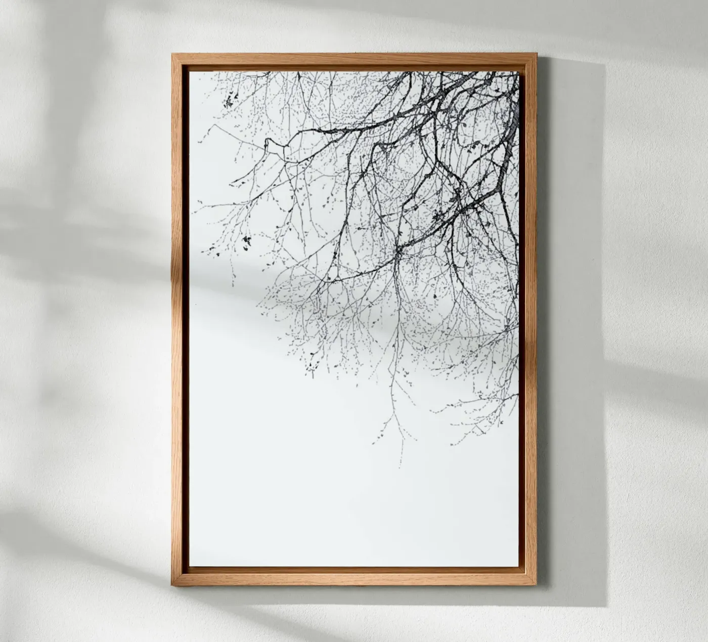 Black Branches forex plate by Monika Strigel