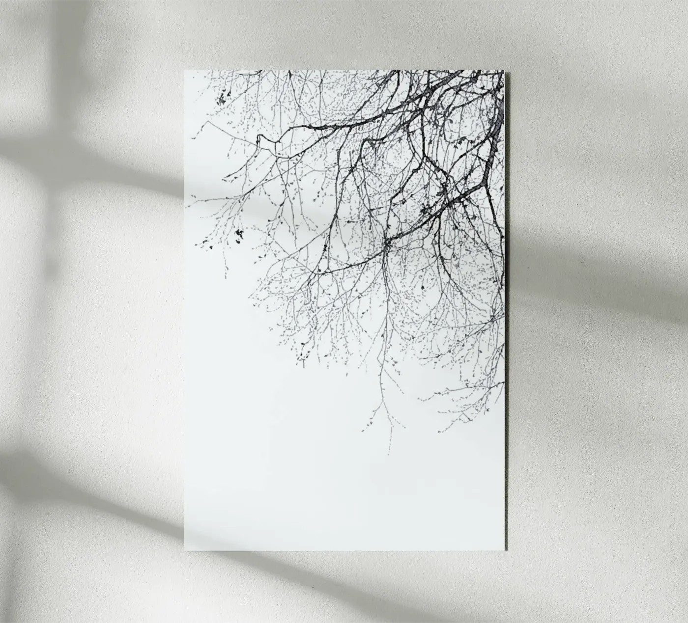 Black Branches forex plate by Monika Strigel