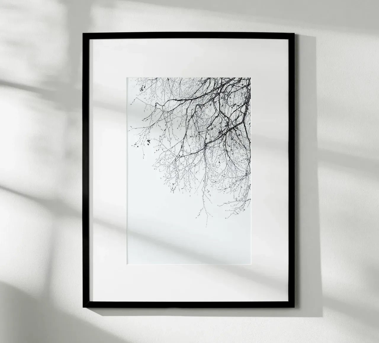 Rami neri poster da Monika Strigel