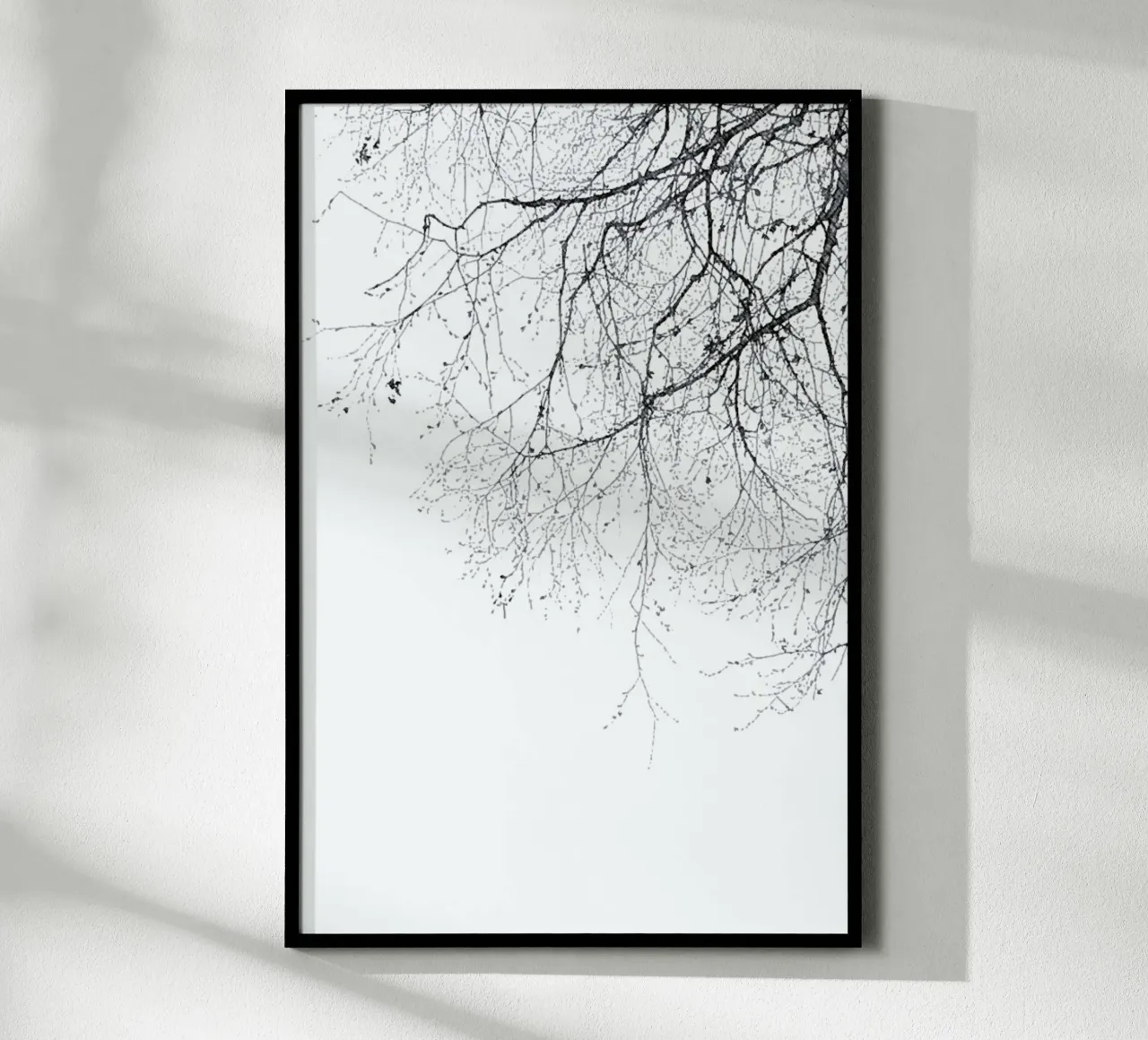 Rami neri poster da Monika Strigel