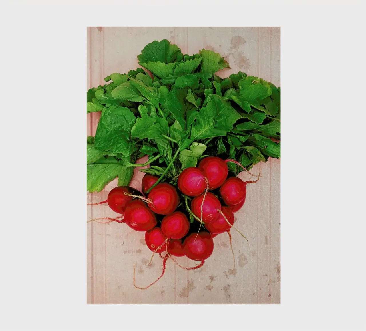 Radishes notebook by Keri Bevan