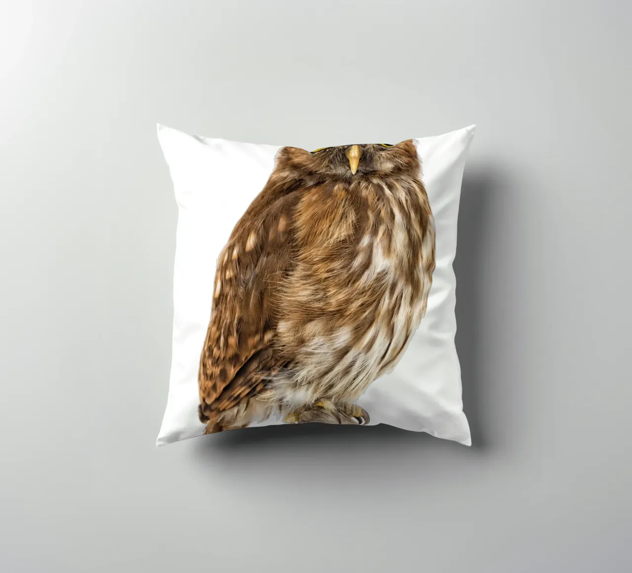 Tiny Wonder: Little Owl cuscino da Curious Collections by Marielle Leenders