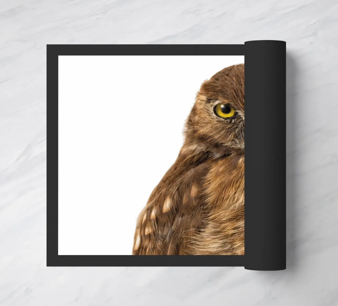 Tiny Wonder: Little Owl zerbino da Curious Collections by Marielle Leenders