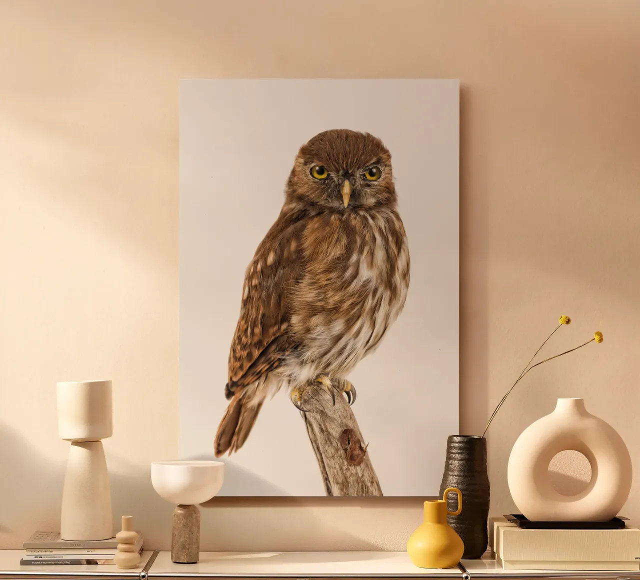 Tiny Wonder: Little Owl alluminio dibond da Curious Collections by Marielle Leenders