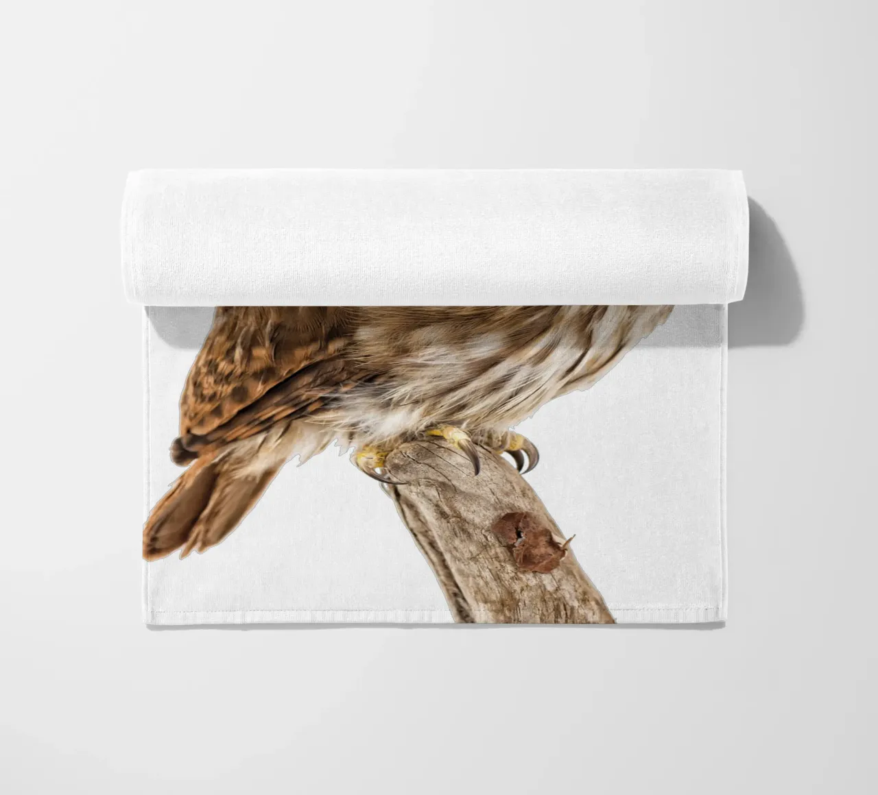 Tiny Wonder: Little Owl telo mare da Curious Collections by Marielle Leenders