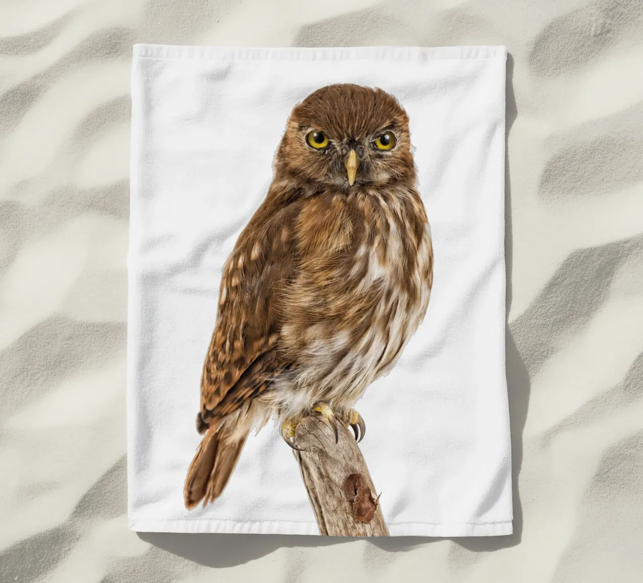 Tiny Wonder: Little Owl telo mare da Curious Collections by Marielle Leenders