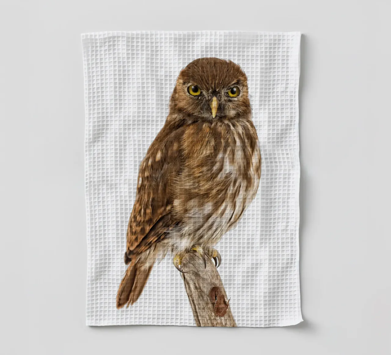 Tiny Wonder: Little Owl canovaccio da cucina da Curious Collections by Marielle Leenders