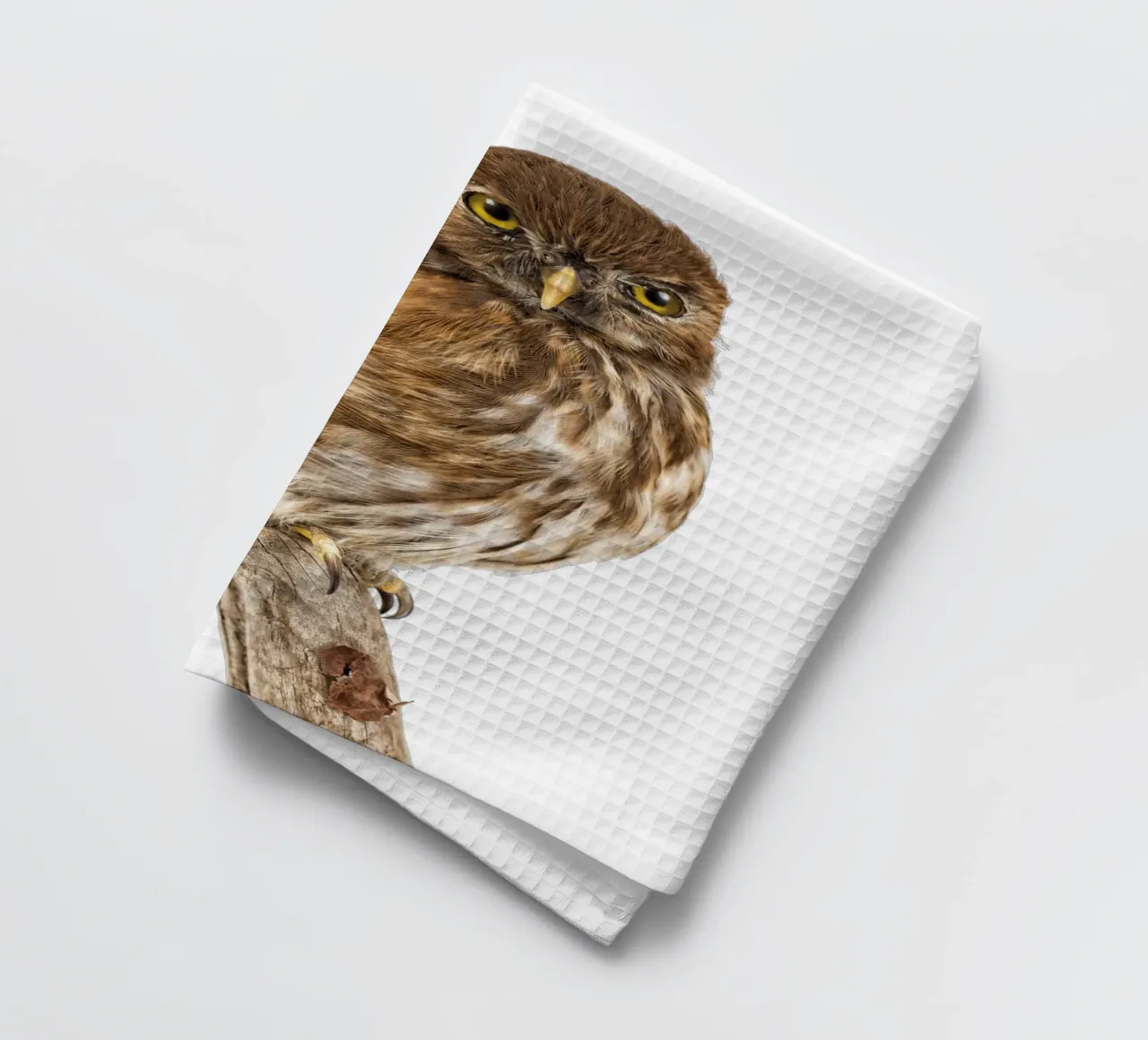 Tiny Wonder: Little Owl canovaccio da cucina da Curious Collections by Marielle Leenders