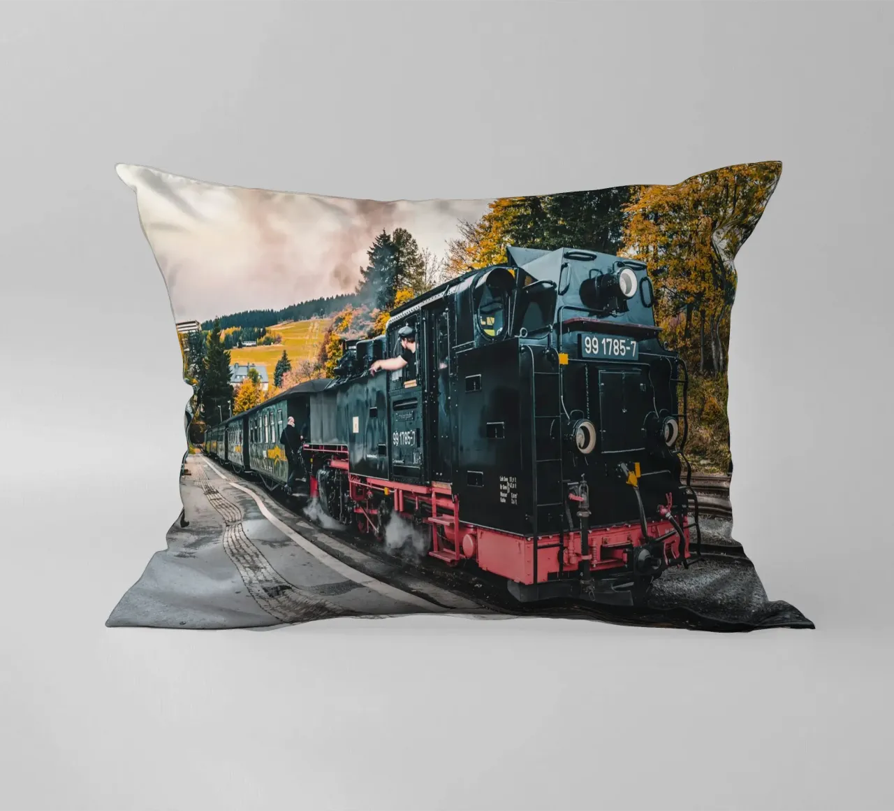 Fichtelberg railway in the Ore Mountains decorative cushion by Marcus Beckert | Fotografie