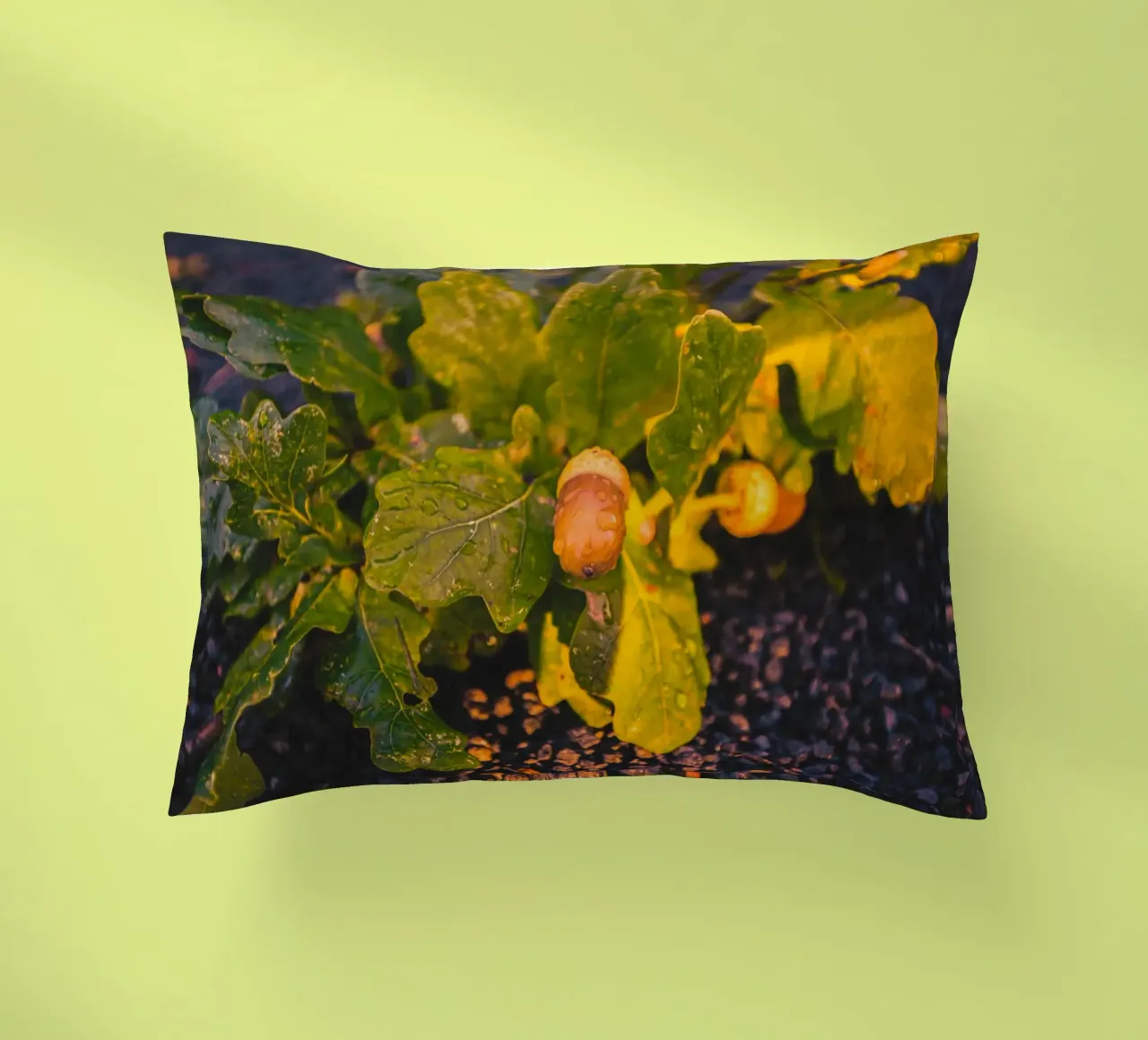 An acorn with a drop of water decorative cushion by Marcus Beckert | Fotografie
