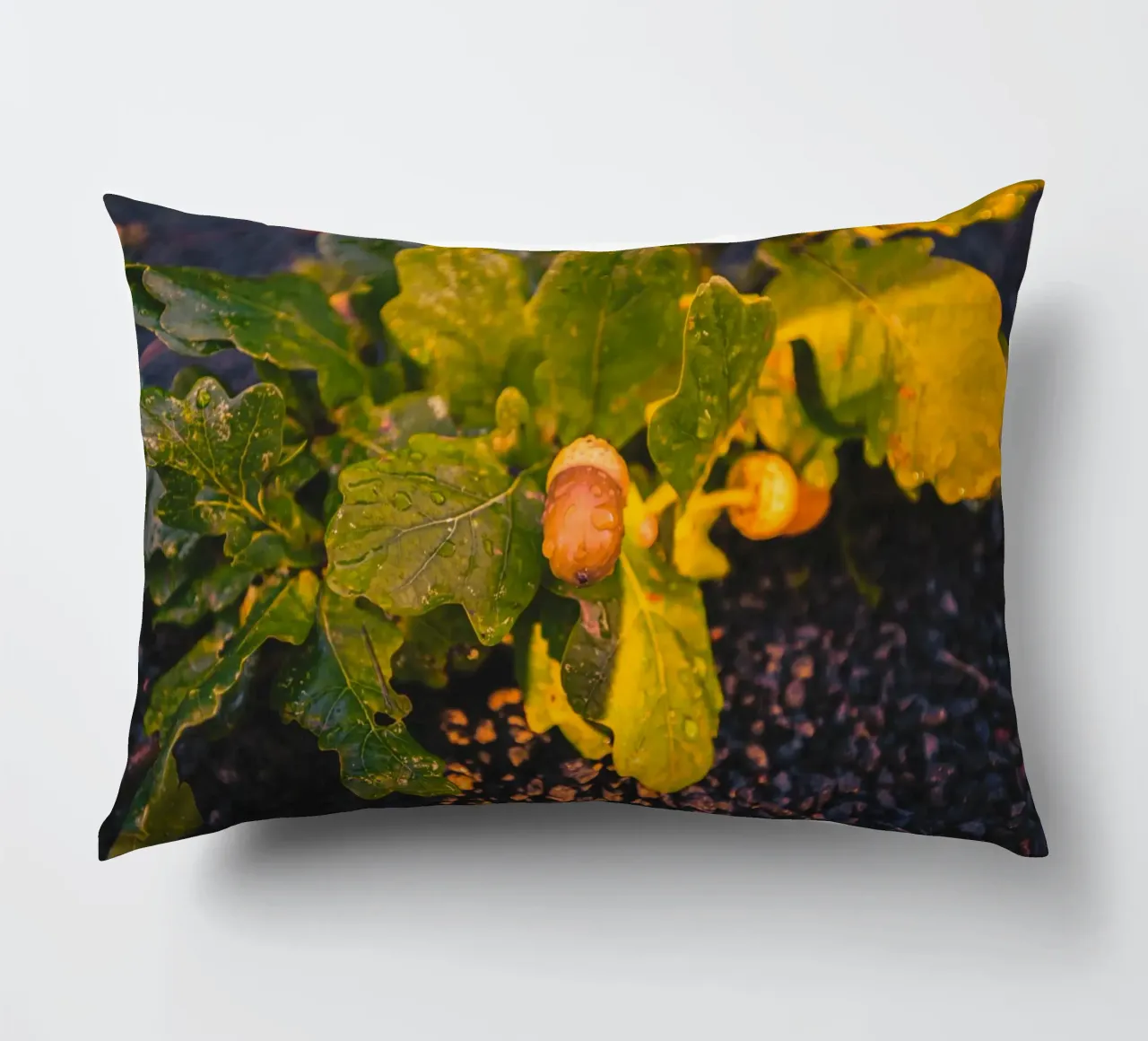 An acorn with a drop of water decorative cushion by Marcus Beckert | Fotografie