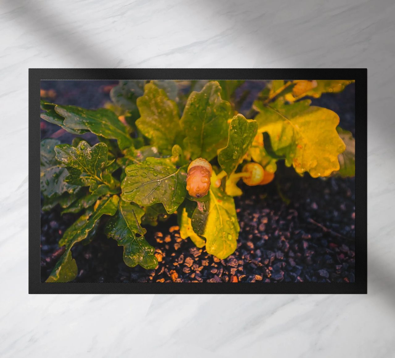 Una ghianda con una goccia d'acqua zerbino da Marcus Beckert | Fotografie